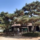 바위섬가든 이미지