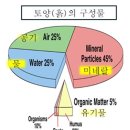 자연물로 이온액비와 부식물질 만들기 이미지