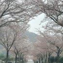 두륜산관광펜션 | [해남 케이블카, 두륜산 케이블카] 후기 - 두륜산 정상뷰, 운행시간, 요금 총정리!