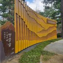 홍릉 | [서울 여행] 홍릉시험림(홍릉숲) 벚꽃 개화 후기, 조용한 산책 명소 추천