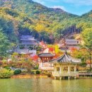 구미성리학역사관 티스토리