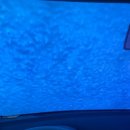 초원세차장 이미지