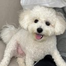평촌연탄집 이미지