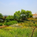 인천나비공원 이미지