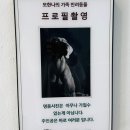 명품사진관 | [신림 사진관] 프로필 가족사진 스튜디오 kcg, 보리와 함께한 삼남매X엄마 가성비 촬영 후기 📸🐶