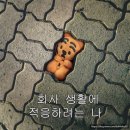 서울 혼자 놀기 동대문 뉴뉴, 미미라인 + 비건카페 추천