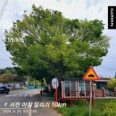 오랜만에 다시 찾은 충청남도 서천 여행(딱풀이의 첫 여행 그리고 6주년 기념 여행)