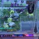 캑티가챠샵(CACTI GACHA SHOP) 이미지