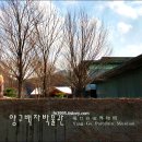 강원도 양구 여행 가볼만한곳 베스트10