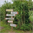 힐링카약파크비체올린 이미지