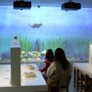 꿈이 자라는 어린이 미술 이미지