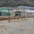 대섬농장 이미지