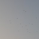 OK낚시터 이미지