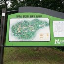 길치고개길 이미지