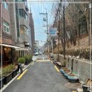 마치숲 이미지