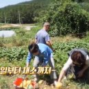 양희숙농장 네이버블로그