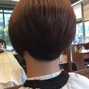 헤어#바오 이미지