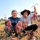 영암농수산 | 2026 영암 반딧불이 행사 예약부터 준비물까지 한눈에 보기