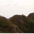 제474차(4월13일) 김해 불모산,진해 웅산 산행안내 이미지