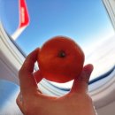 서광리-12 이미지