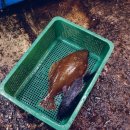 보성상회수산 이미지