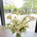 사파동324 이미지