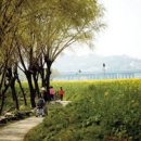 강동-천호-1396 이미지