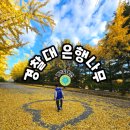 극동체력단련장 | 용인 구 경찰대학교 은행나무길