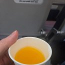 A220 | 대한항공 제주 국내선 후기 737 vs A220 비교 5가지