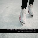 체육공원(오지리) | 겨울 필수 데이트&amp;나들이! 2025-2026 서울·인천·경기 공영 야외 스케이트장 베스트 6 (가격·운영시간...