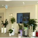 나온동물병원 이미지