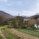 은빛농장 이미지