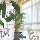 라폼의원 이미지