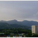 철마산 조망 이미지