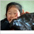 영월화석박물관 이미지