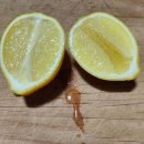 유기전환 친환경 레몬 ㅡ올레길 이미지