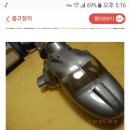 바디카 이미지