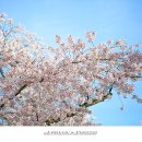 아사달목장 이미지