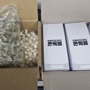 주식회사 대영팜피코 이미지