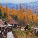 거창 국민여가캠핑장 이미지