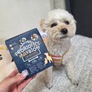 한국바이오팜(주) 에이치피 이미지