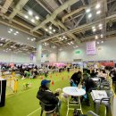 2025 PET&amp;MORE 벡스코 부산 반려동물 박람회 첫날 방문후기(입장방법&amp;주차요금)