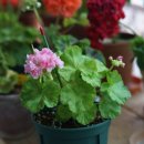 밝은미소스토어 이미지