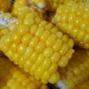 용흥농장 이미지