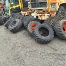 건국제일농장 이미지