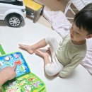 비지플레이16