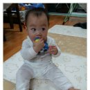 붕붕 소프트 이미지