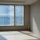 솔터로-L 이미지