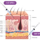 르블랑의원 이미지