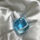 내돈내산 고급스러운 플로럴 향, 제이숲 퍼퓸 헤어 에센스 오키드 블루 50ml + 스크런치 기프트 세트